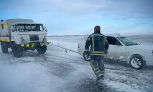 Викрито канали втечі ухилянтів за допомогою фіктивних шлюбів і неіснуючих дітей