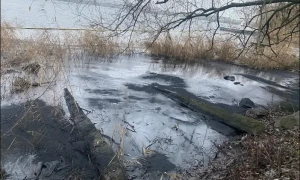 Ще одна проросійська партія потрапила в Україні під заборону 