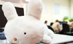 Стало известно, в какое время лучше смотреть метеоритный дождь Персеиды