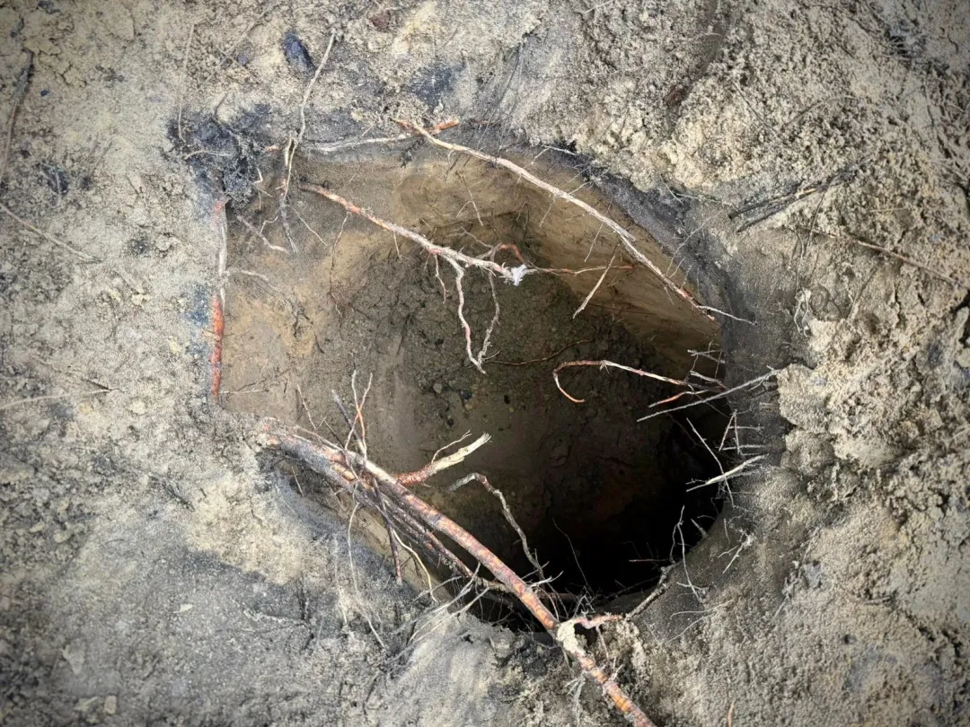 Відео: польські прикордонники виявили ще один підземний тунель з боку Білорусі