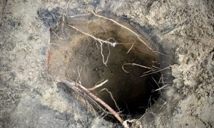 Папа Римський заявив, що війну в Україні не вирішити «інфантильною логікою зброї»