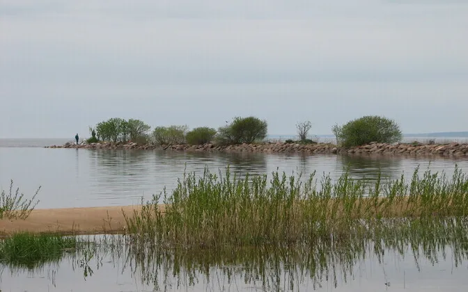 В Естонії зафіксували перетин російськими пограничниками контрольної лінії