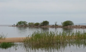 Фото: у Вільнюсі на протести вийшли 10 тисяч людей