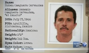 У Нідерландах склав присягу новий уряд і чого чекати Україні