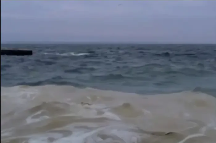 В Одесі виявлено нафтові плями та загиблих птахів на пляжах