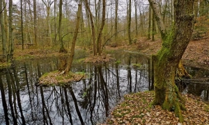 Відео: український трейлер «Смерті Сталіна»