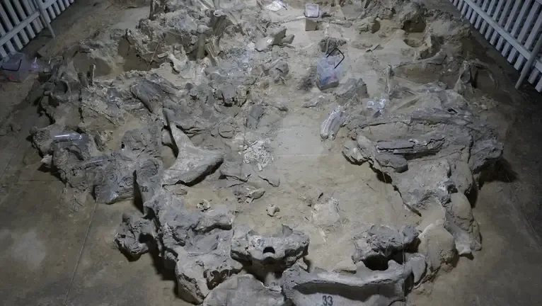 Унікальні споруди з кісток мамонта, знайдені під Києвом, створені у Льодовиковий період