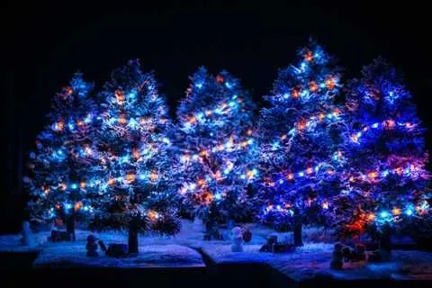 Відео: у Казахстані водій на «Жигулях» зніс головну новорічну ялинку