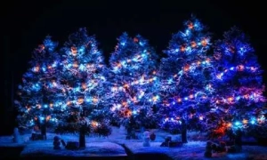 Прокуратура Молдови передала до суду справу одного з викрадачів Чауса