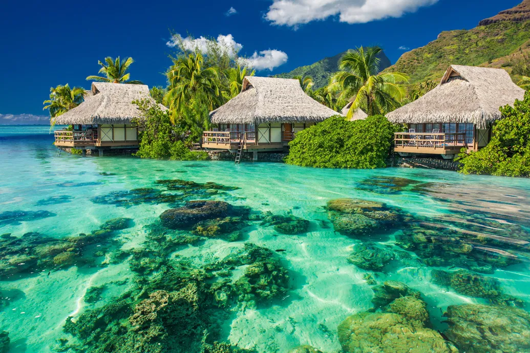 Блакитні лагуни та білі капелюшки: як Острови Кука перетворили Різдво на модний дефіле