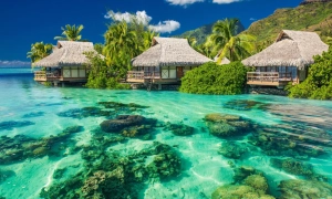 Британську урядову ялинку прикрасили тернопільською жар-птицею – фото