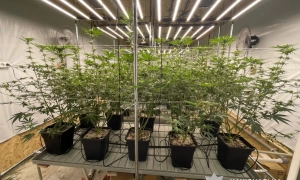 Зеленський підписав закон про військового омбудсмена