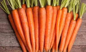 «Укрзалізниця» відкрила на станції Холм вагони незламності для українських пасажирів