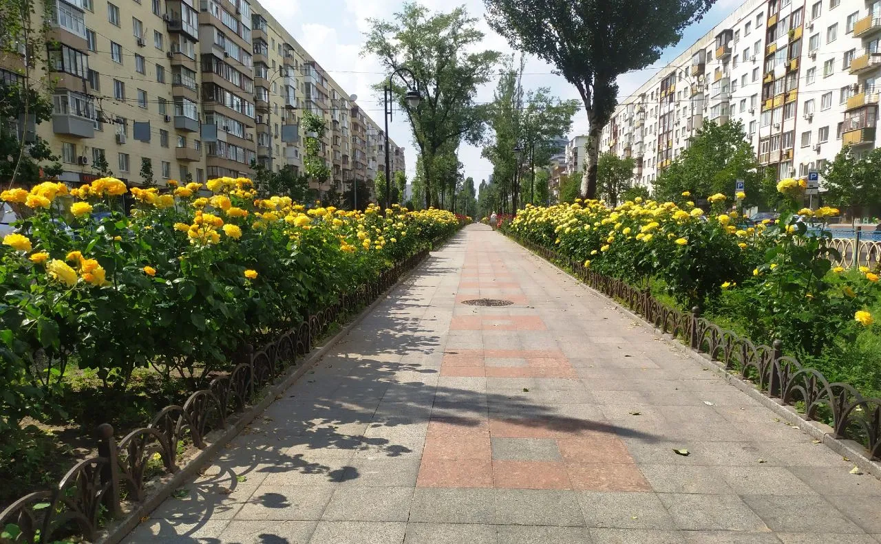 У Києві частково обмежать рух бульваром Лесі Українки через дорожні роботи