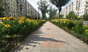 У Києві стартував Марш рівності