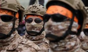 ЄС прокоментував російські «вибори» на окупованих територіях