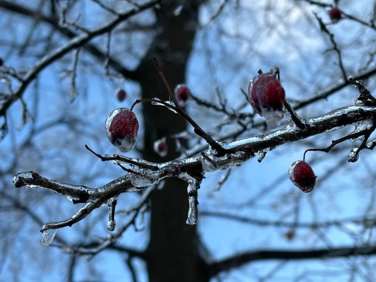 В Україні очікуються сильні морози: де буде найхолодніше