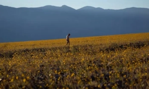 У Швеції розслідують справу проти російського капітана танкера Sea Owl 1