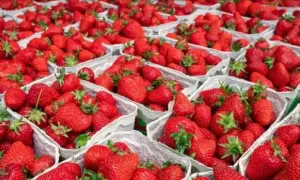 
За парковку на местах для инвалидов грозит штраф 1700 грн