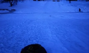 ЗСУ візьмуть участь у 19 міжнародних навчаннях - Генштаб