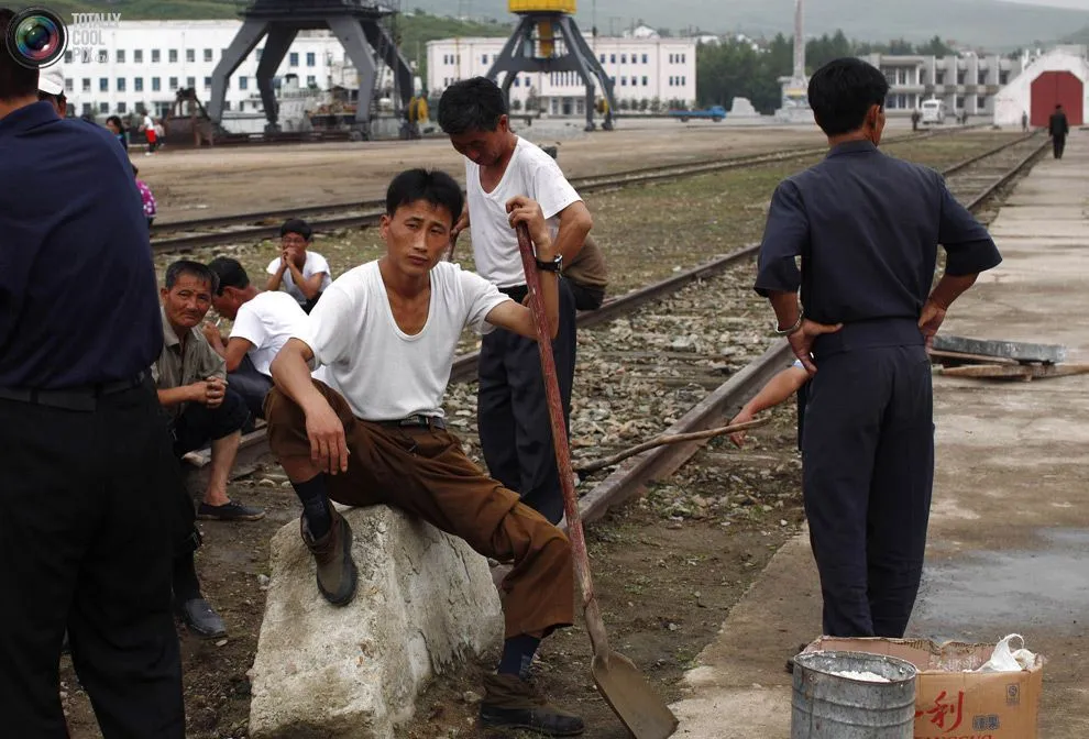 Північнокорейські робітники поскаржились, що в рф їх мають за худобу