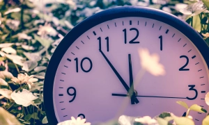 Зеленський призначив нового заступника голови СБУ