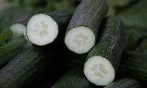 Транзит газу не буде обговорюватися на нормандській зустрічі 