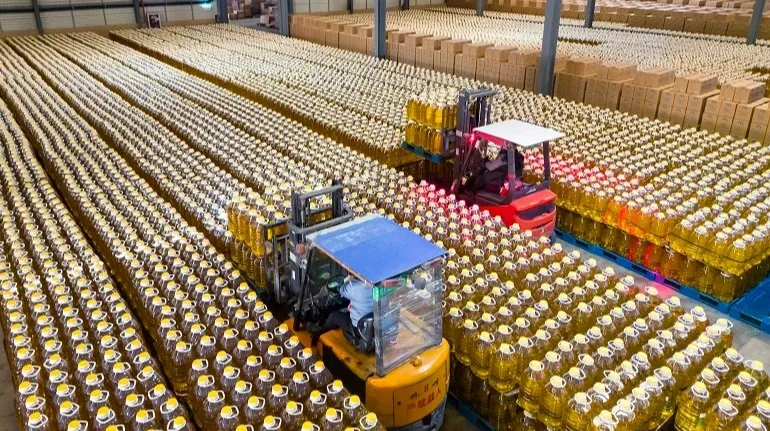 Испания стала крупнейшим импортером украинского подсолнечного масла