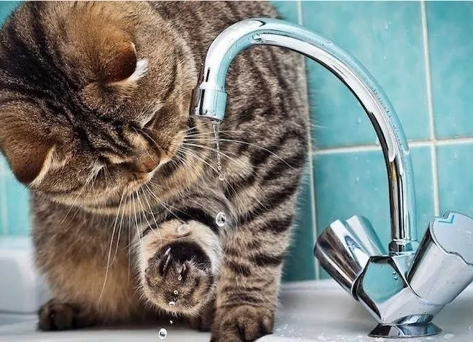 Київ залишився без води у кількох районах через атаку РФ