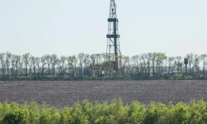 Побиття дівчинки у Білій Церкві: один з підлітків отримав підозру