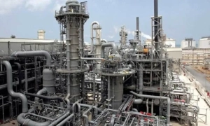 Російського археолога Бутягіна, який незаконно працював у Криму, підтримала італійська Національна академія дей-Лінчей