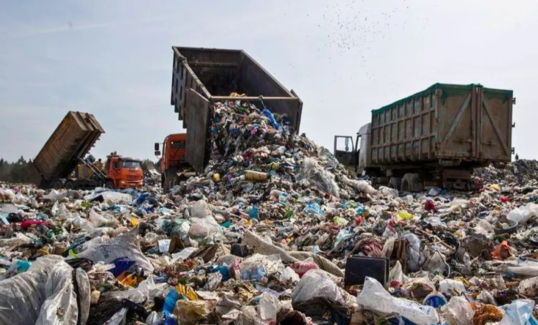 Директор приватного товариства забруднив 2 га землі у столиці