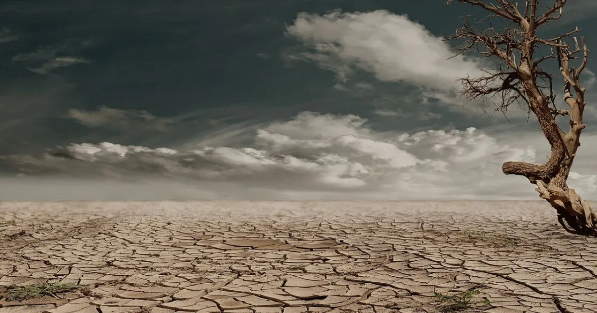 Через спеку щохвилини вмирає одна людина, — The Guardian Через спеку щохвилини вмирає одна людина, — The Guardian