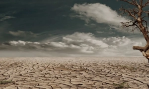 SpaceX готується до запуску Starship вже цього тижня