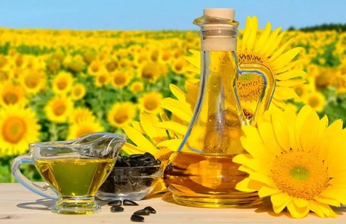 Через російських терористів Україна скорочує виробництво соняшникової олії