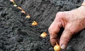 Контроль за ремонтом и жалобы онлайн: «Укравтодор» представил интерактивную карту