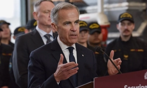 У Польщі знайшли мертвого кабана з африканською чумою: влада не виключає диверсію