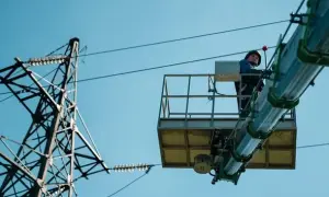 Відео: поліція викрила банду викрадачів елітних авто
