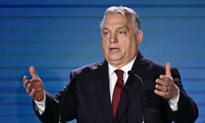 На індичій фермі у Польщі зафіксували спалах пташиного грипу