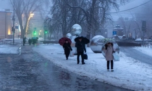 Відео: румунський землетрус розбудив Одесу