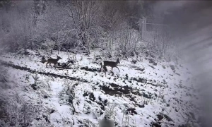 Слідчі ДБР проводять обшуки в Одеській ОВА – нардеп