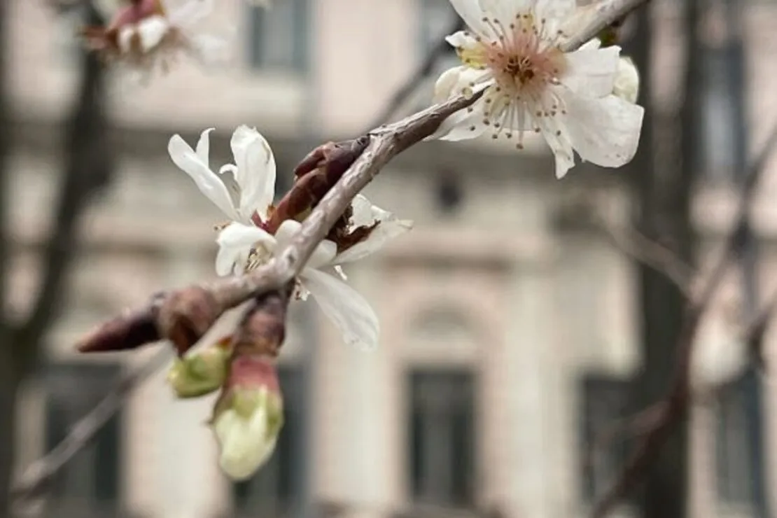 В Україні буде тепло та без опадів: прогноз погоди на 14 березня