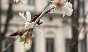 В Україні значно пришвидшили час проходження ВЛК
