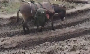 Генштаб повідомив, де найбільш інтенсивно атакують окупанти