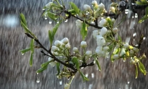У НАБУ опублікували плівки розмов нардепа Юрченка