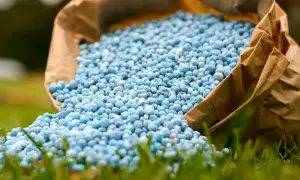 СБУ викрила у Харкові схему фейкового опікунства для ухилення від мобілізації