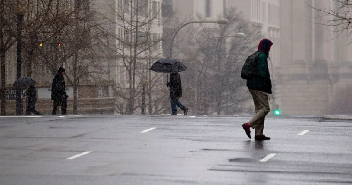 Сильний вітер і опади: прогноз погоди в Україні на 5 березня