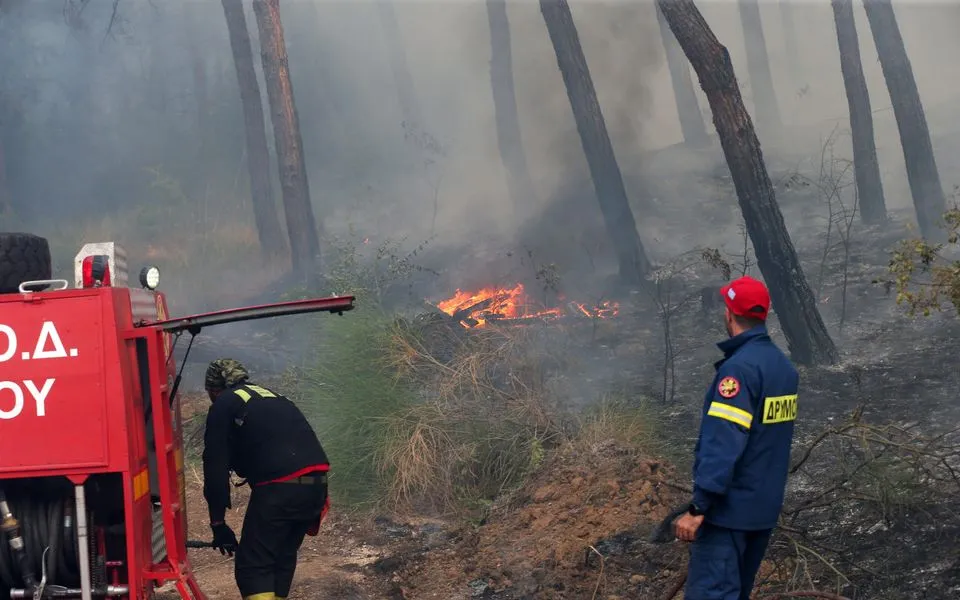 Лісова пожежа в Греції забрала життя батька і сина