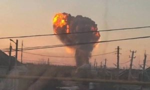 Шахеди атакували кінний клуб на Київщині, семеро тварин загинули