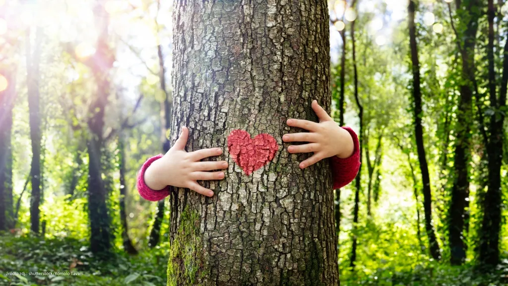 October 10, 2026 — Tree Day in Poland: How an Environmental Campaign Became a National Movement